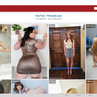 PicHunter