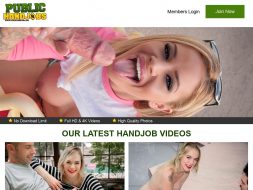 PublicHandJobs