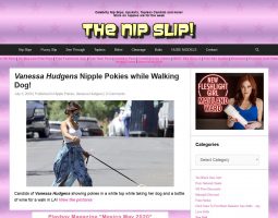 TheNipSlip